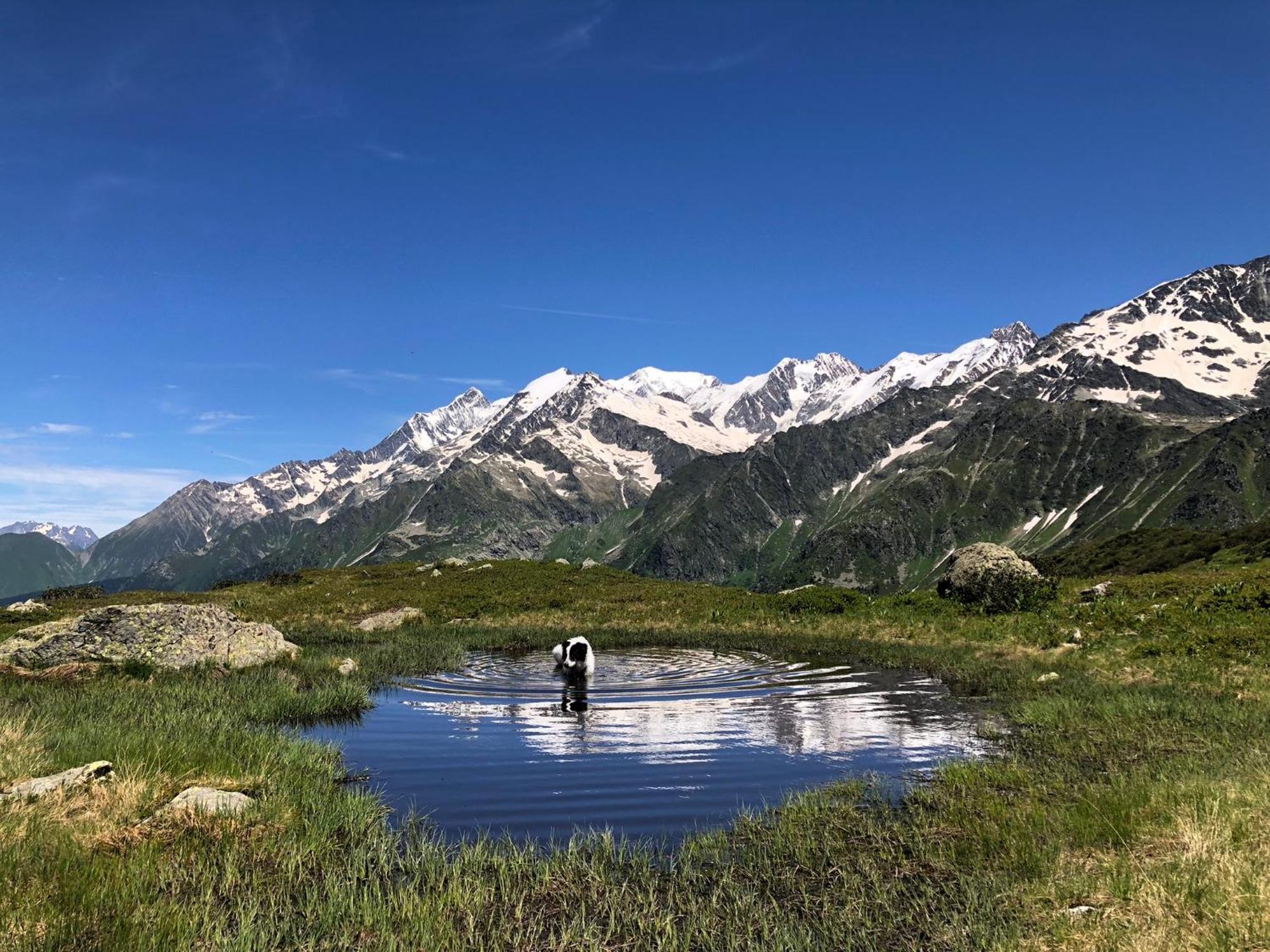 Chalet en pleine nature avec 2 appartements pour 6 ou 8 qui peuvent être réunis en 1 pour 14 personnes Saint-Gervais-les-Bains Exterior foto